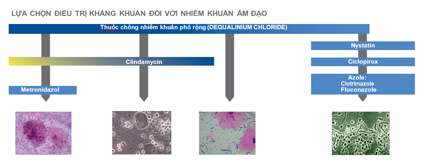 điều trị kháng khuẩn với viêm âm đạo