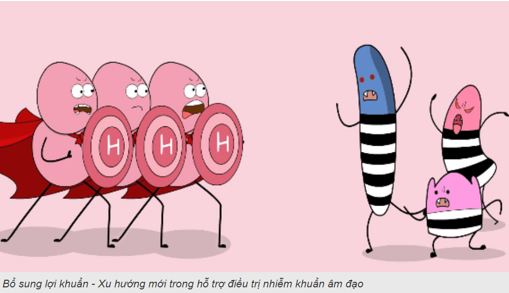 Bổ sung lợi khuẩn trong điều trị viêm âm đạo