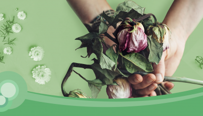 Viêm teo âm đạo ở phụ nữ mãn kinh